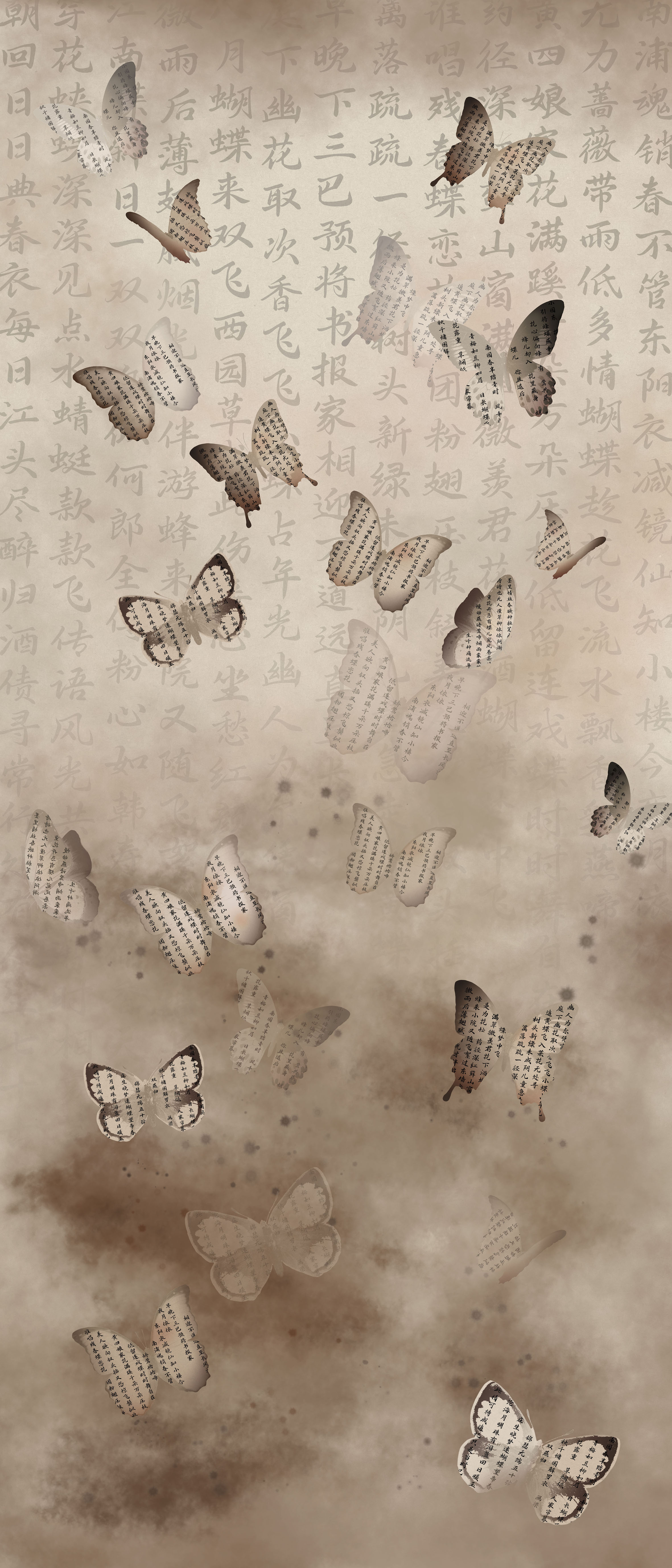 墨之蝶