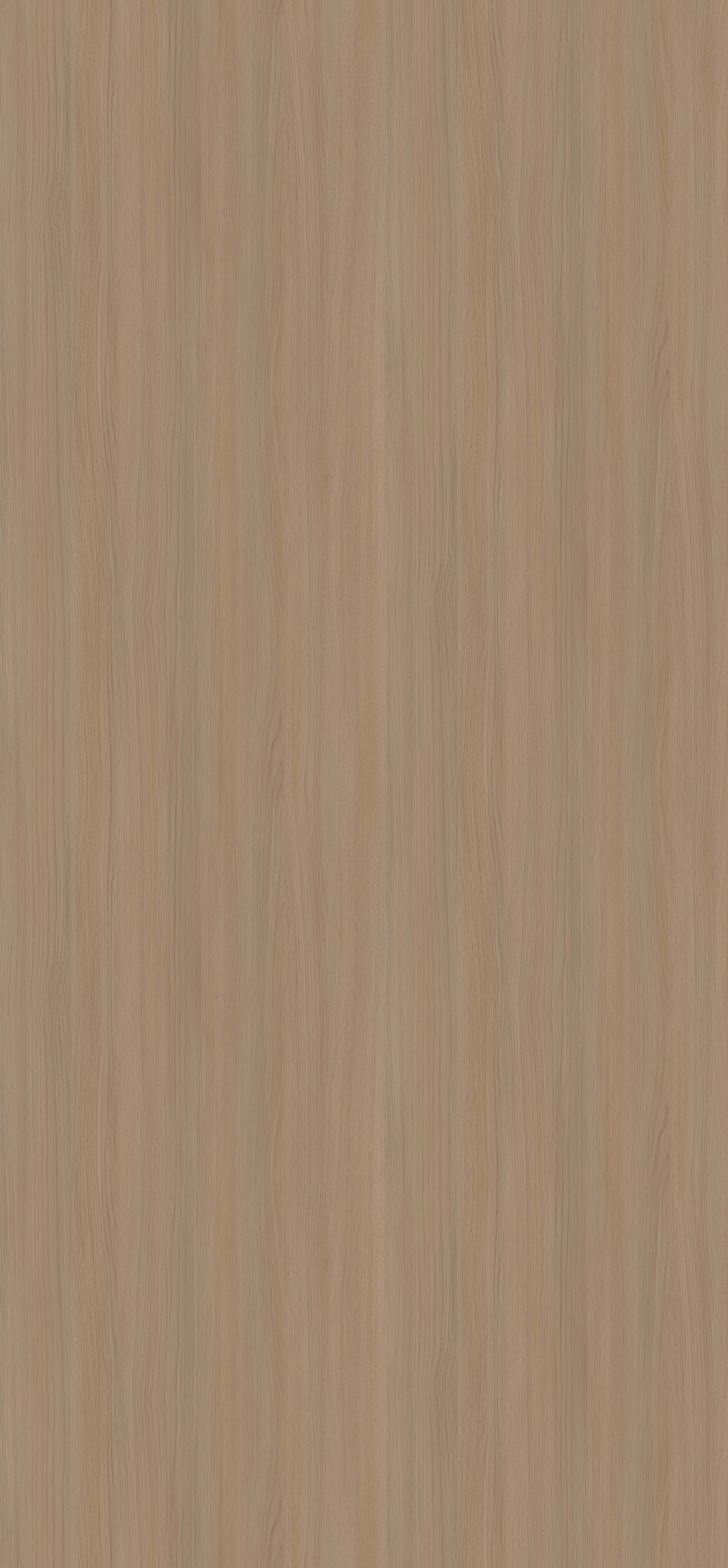 西雅圖橡木