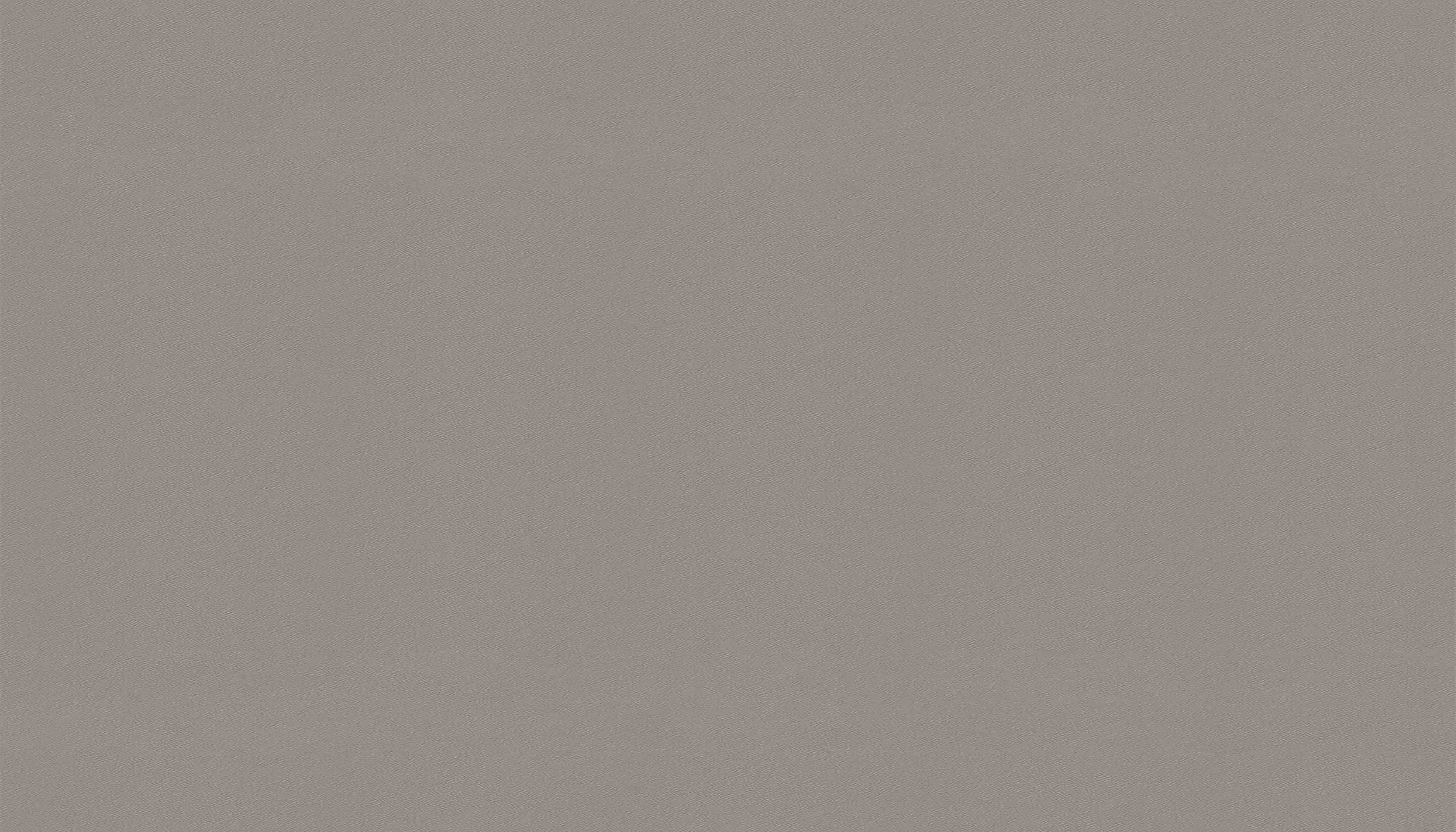 鼴鼠灰