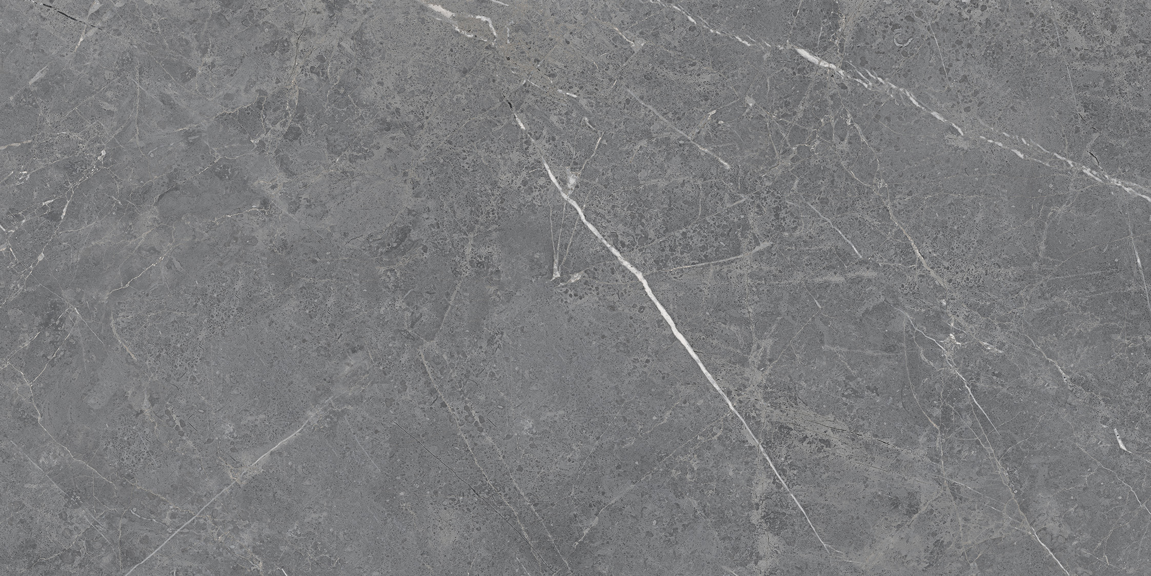 DL122229-1