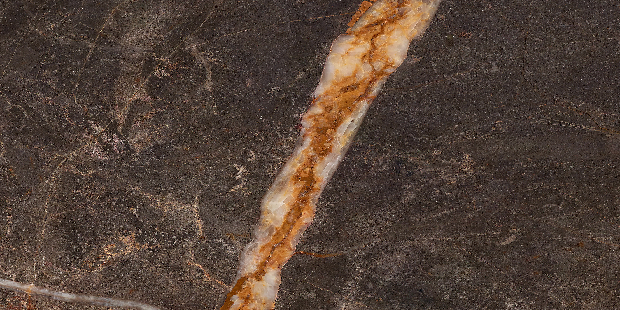 DL122204-1